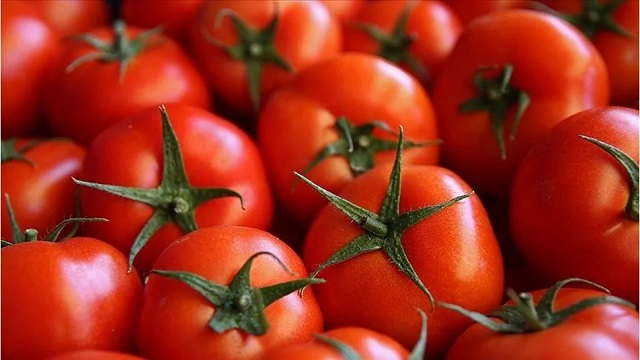 Rusya domates alışını arttırıyor